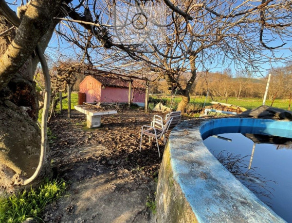 Finca rústica en venta en Candeleda