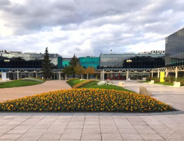 Alquiler de Oficina en avenida de Castilla