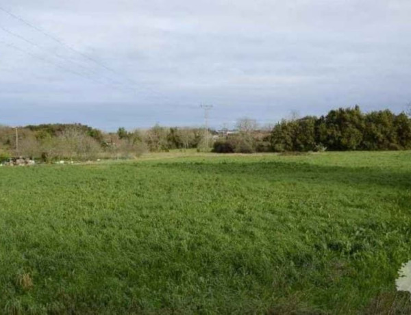 Terreno en venta en Marina de Cudeyo