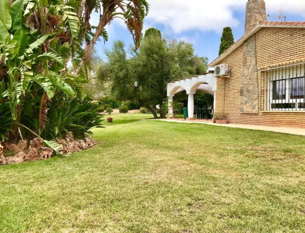 Alquiler de Casa o chalet independiente en calle Retama, 332