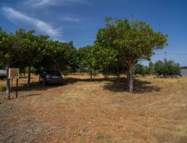 Finca rústica en venta en Arroyo Hondo