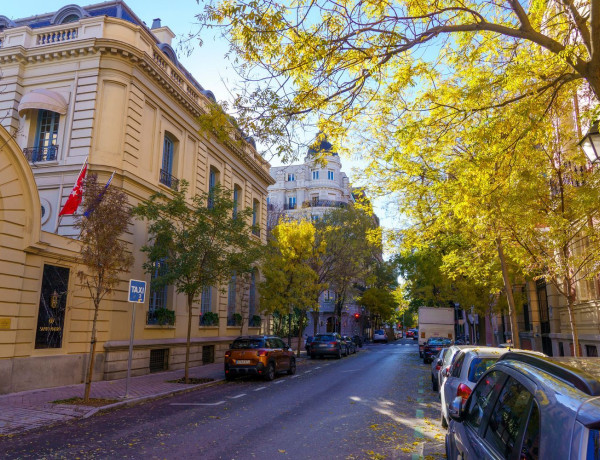 Alquiler de Oficina en Zurbano