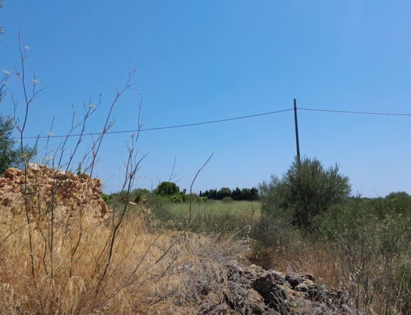 Terreno en venta en camino del Campas