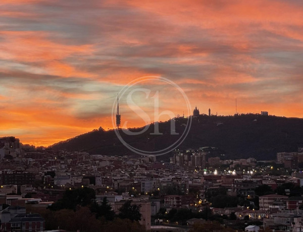 Alquiler de Piso en paseo de Maragall