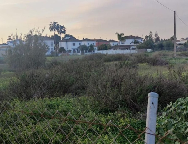 Terreno en venta en camino de la Jara