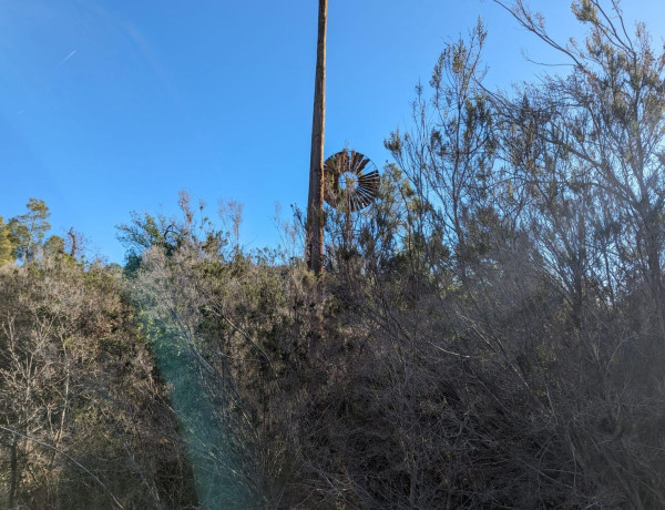 Terreno en venta en carretera de Santboi