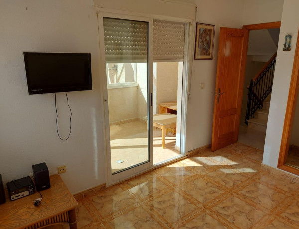 Casa o chalet independiente en venta en Playa Flamenca