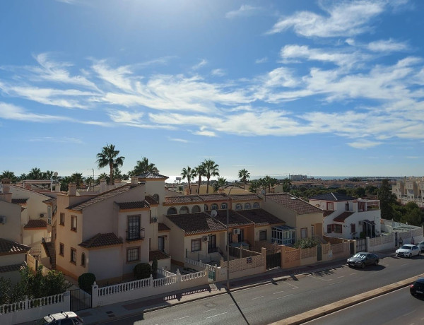 Casa o chalet independiente en venta en Playa Flamenca