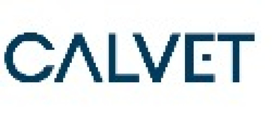 Calvet Premium Real Estate