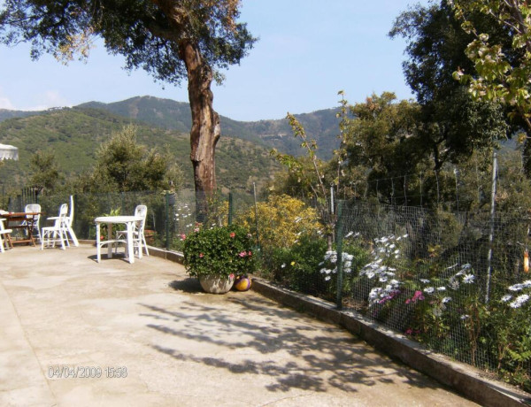 Country house For sell in Estepona in Málaga 