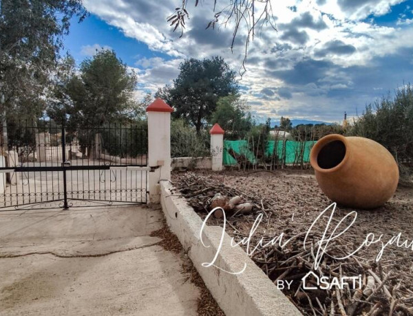 Country house For sell in Molina De Segura in Murcia 