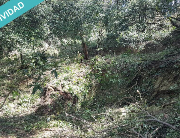 TERRENO 405M2 EN COLLSEROLA, A 2KM DE LA ESTACION DE LA FLORESTA.