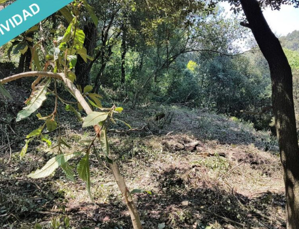 TERRENO 405M2 EN COLLSEROLA, A 2KM DE LA ESTACION DE LA FLORESTA.