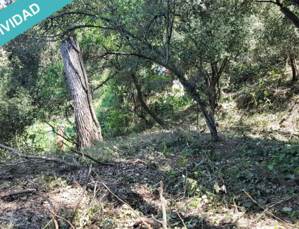 TERRENO 405M2 EN COLLSEROLA, A 2KM DE LA ESTACION DE LA FLORESTA.