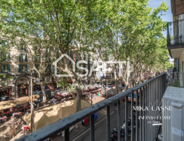 ¿Has pensado invertir en la calle mas popular de Barcelona ?