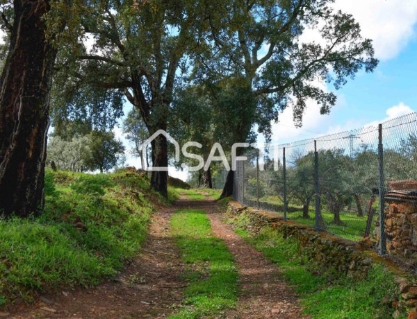 Fantástica finca rústica en pleno Sierra de Gata.