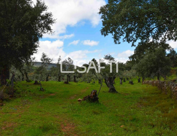 Fantástica finca rústica en pleno Sierra de Gata.