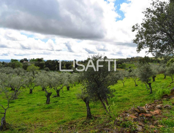 Fantástica finca rústica en pleno Sierra de Gata.