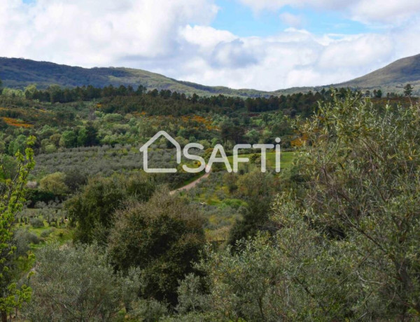 Fantástica finca rústica en pleno Sierra de Gata.