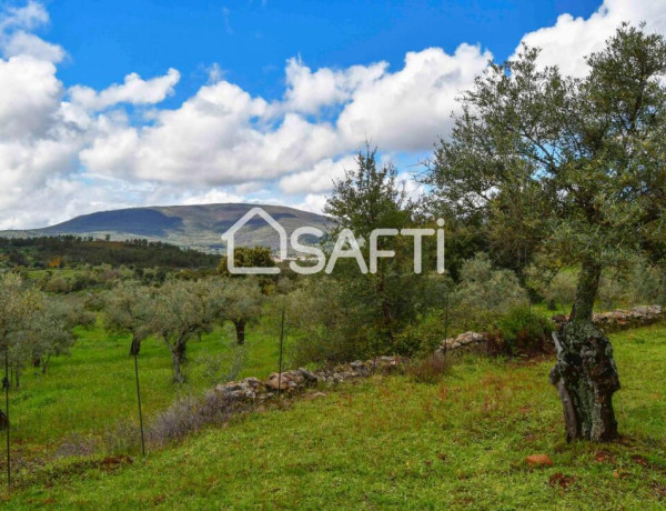 Fantástica finca rústica en pleno Sierra de Gata.