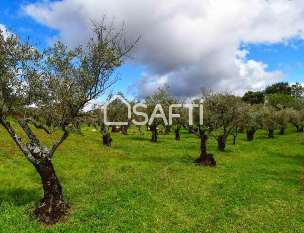 Fantástica finca rústica en pleno Sierra de Gata.