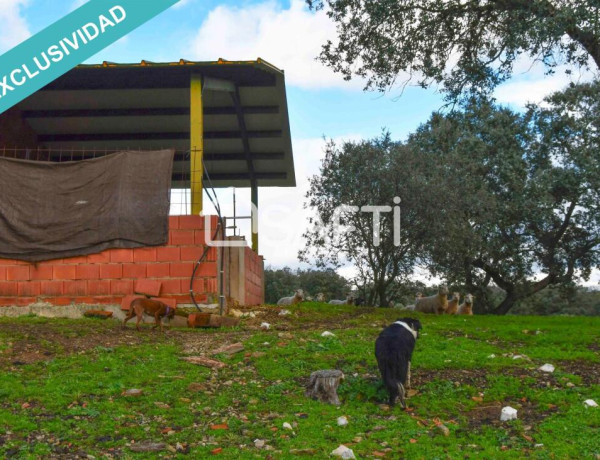 Finca rústica de 11 hectáreas a tiro de piedra del Embalse de Sierra de Gata.