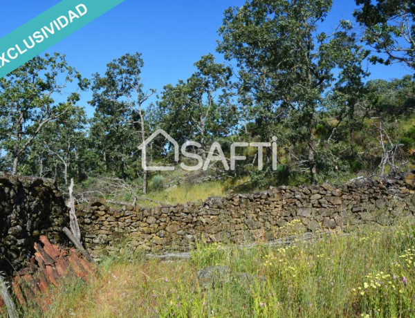 Rustic land For sell in Villamiel in Cáceres 