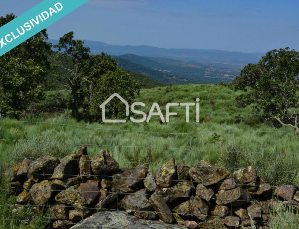 Rustic land For sell in Villamiel in Cáceres 