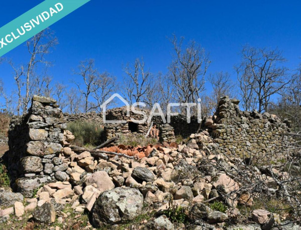 Rustic land For sell in Villamiel in Cáceres 