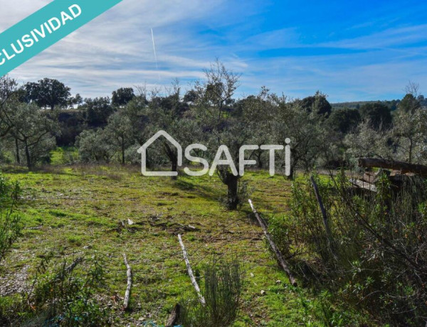 Rustic land For sell in Perales Del Puerto in Cáceres 