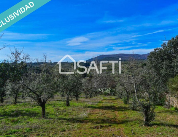 Rustic land For sell in Perales Del Puerto in Cáceres 