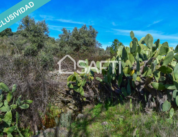 Finca de 19.500m2 con agua abundante en la Sierra de Gata