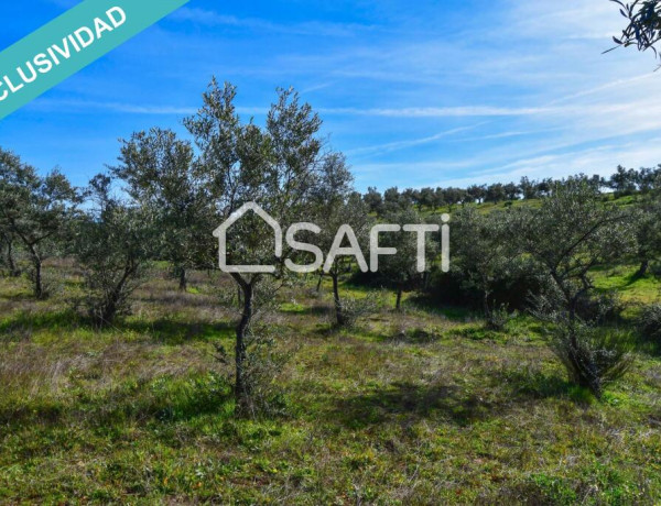 Rustic land For sell in Perales Del Puerto in Cáceres 