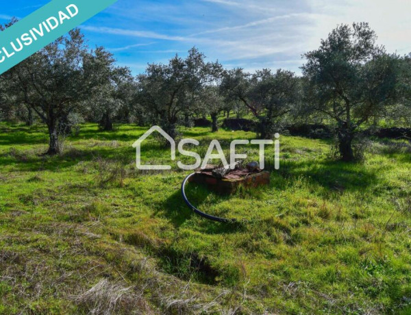 Rustic land For sell in Perales Del Puerto in Cáceres 