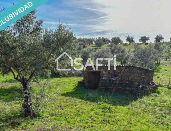 Rustic land For sell in Perales Del Puerto in Cáceres 