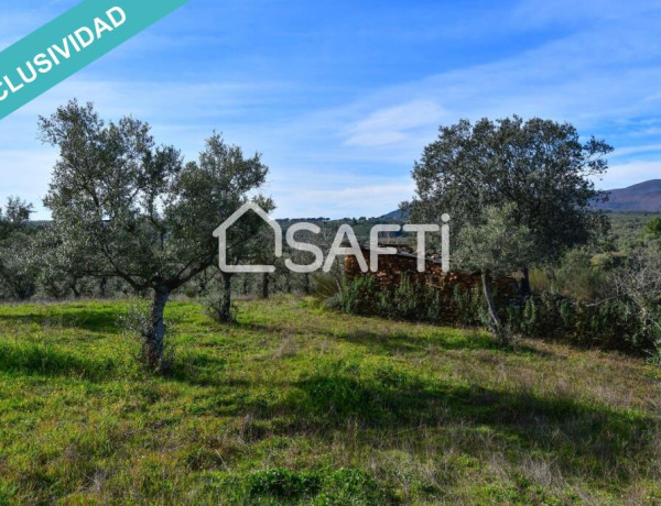 Rustic land For sell in Perales Del Puerto in Cáceres 