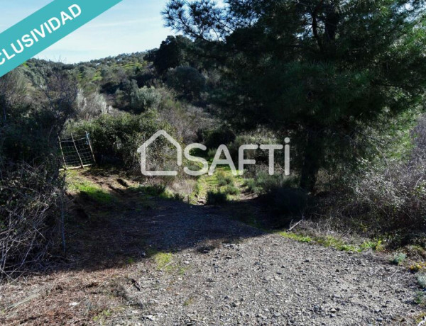 Rustic land For sell in Perales Del Puerto in Cáceres 