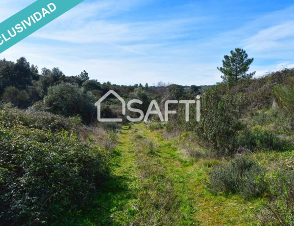 Finca de 19.500m2 con agua abundante en la Sierra de Gata