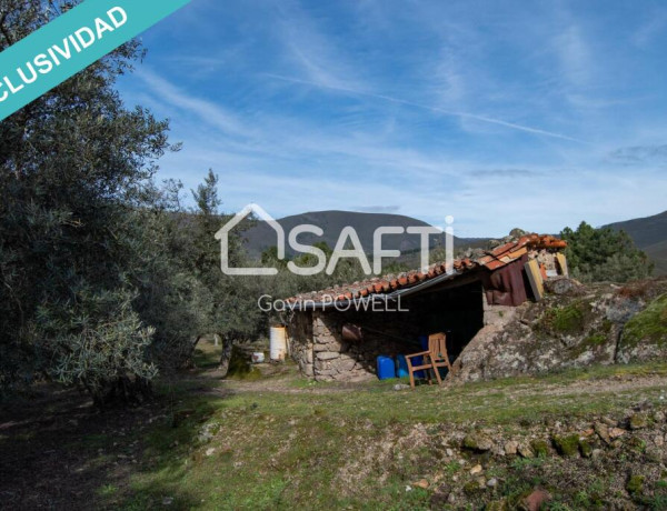 Rustic land For sell in Acebo in Cáceres 