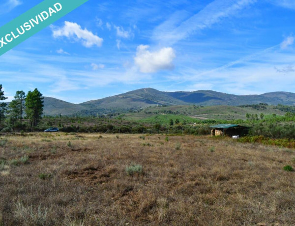 Rustic land For sell in Acebo in Cáceres 