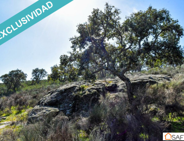 Rustic land For sell in Perales Del Puerto in Cáceres 