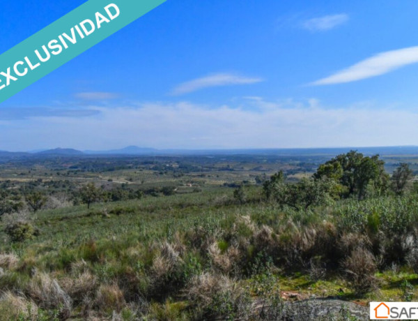 Rustic land For sell in Perales Del Puerto in Cáceres 