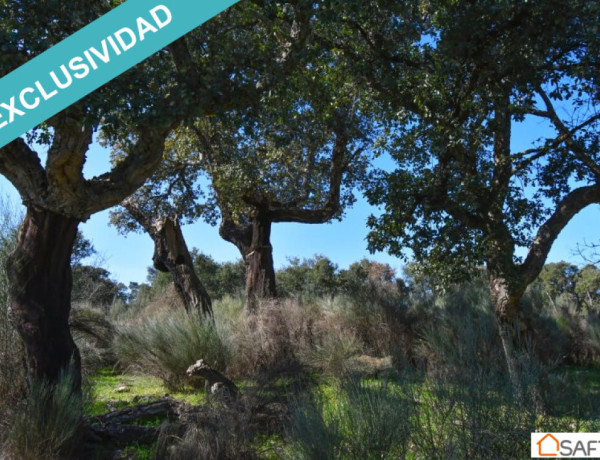 Rustic land For sell in Perales Del Puerto in Cáceres 