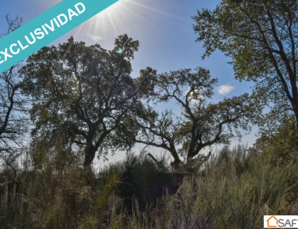 Rustic land For sell in Perales Del Puerto in Cáceres 