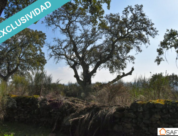 Rustic land For sell in Perales Del Puerto in Cáceres 