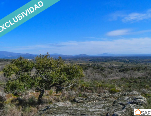 Rustic land For sell in Perales Del Puerto in Cáceres 