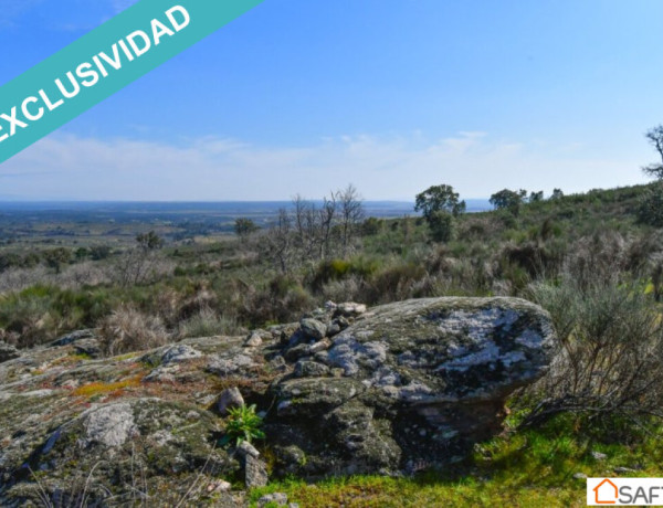 Rustic land For sell in Perales Del Puerto in Cáceres 