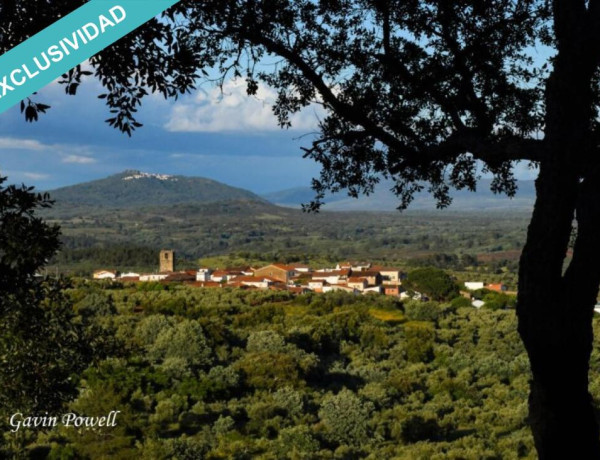 Terraced house For sell in Perales Del Puerto in Cáceres 