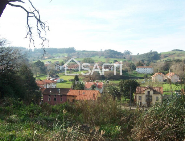 Rustic land For sell in Villaescusa in Zamora 