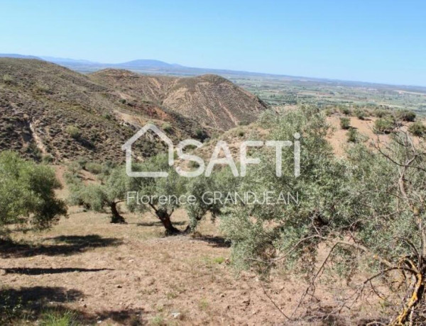 Finca con 50 hectáreas de terreno, cortijo con agua y electricidad cerca del centro de Antequera - atención inversores